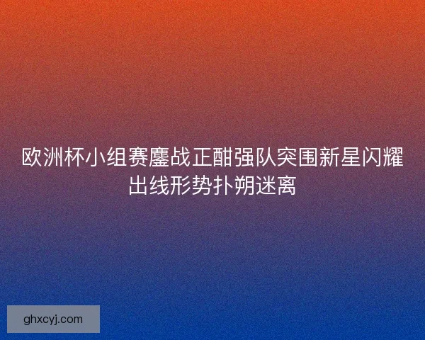 欧洲杯小组赛鏖战正酣强队突围新星闪耀出线形势扑朔迷离